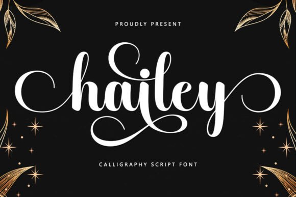 Hailey: The Elegant Script Font for Polished Designs